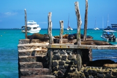 galapagos-santa-cruz