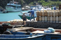 galapagos02