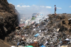 galapagos04