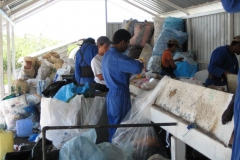 galapagos08