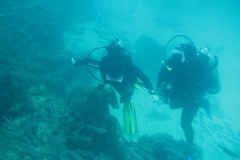 galapagos10