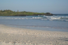 galapagos13