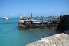galapagos16